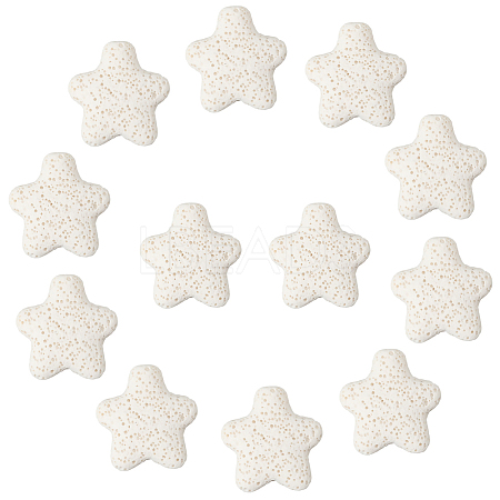 24Pcs Star Synthetic Lava Rock Beads G-PA0002-25B-1
