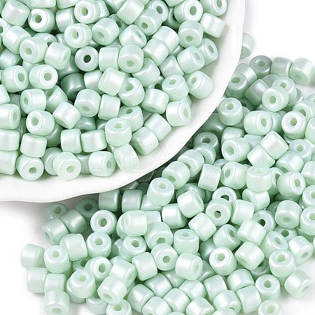 Baking Paint Pearlized Glass Seed Beads SEED-T008-03P-1