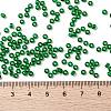 MIYUKI Round Rocailles Beads SEED-X0055-RR0146-3