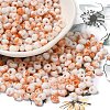 Baking Paint Glass Seed Beads SEED-F006-01A-10-1