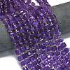 Natural Amethyst Beads Strands G-K389-A16-01-2