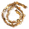 Dyed Natural Freshwater Shell Beads Strands SHEL-P016-01A-2
