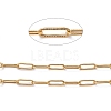 3.28 Feet 304 Stainless Steel Paperclip Chains X-CHS-D033-06G-01-2
