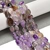 Natural Rutilated Quartz Beads Strands G-P497-01E-08B-2