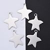 Tarnish Resistant 304 Stainless Steel Pendants STAS-I140-13S-2