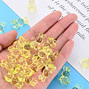 Transparent Acrylic Beads MACR-S373-81-B06-6