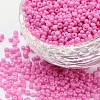 (Repacking Service Available) Baking Paint Glass Seed Beads SEED-C024-C-K2-1
