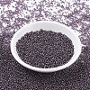 MIYUKI Round Rocailles Beads SEED-X0054-RR0024-3