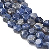 Natural Sodalite Beads Strands G-G463-A10-8x9mm-4