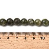 Natural Green Lepidolite Beads Strands G-K350-C01-8mm-5