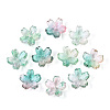 Baking Paint Transparent Glass Bead Caps DGLA-N014-06B-02-1