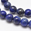 Natural Lapis Lazuli Round Bead Strands X-G-E262-01-10mm-2