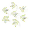 Transparent Acrylic Bead Caps OACR-H016-05C-1
