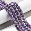 Dyed Natural Sesame Jasper Imitation Charoite Beads Strands G-C179-B01-01-2