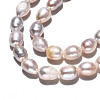 Natural Cultured Freshwater Pearl Beads Strands PEAR-S017-005-4