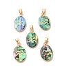 Constellation Natural Paua Shell Pendants KK-P265-01G-09-1