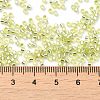 Glass Seed Beads X-SEED-S042-04B-24-4