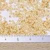 MIYUKI Delica Beads X-SEED-J020-DB0100-4