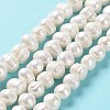Natural Cultured Freshwater Pearl Beads Strands PEAR-E019-06-2