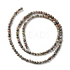 Natural Leopard Skin Jasper Beads Strands G-K365-C01-01-3