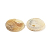 Natural Akoya Shell Flat Round Charms BSHE-Z003-39C-2