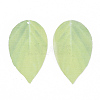 Polyester Organza Fabric Big Pendants FIND-S322-001A-04-2