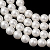 Round Shell Pearl Bead Strands BSHE-L011-4mm-A013A-3