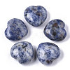 Natural Blue Spot Jasper Healing Stones G-R418-25-1-1