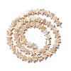 Natural Trochid Shell/Trochus Shell Beads SSHEL-O001-25B-01-1