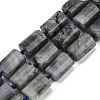 Natural Labradorite Beads Strands G-G162-D13-02-1