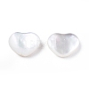 Natural White Shell Beads SSHEL-N032-53-4