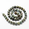 Natural African Turquoise(Jasper) Beads Strands G-D840-15-8mm-2
