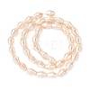 Electroplate Opaque Glass Imitation Pearl Bead Strands EGLA-H113-05B-2