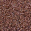MIYUKI Delica Beads SEED-JP0008-DB1737-3