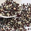 Baking Paint Glass Seed Beads X-SEED-S042-05B-55-1