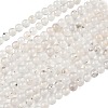 Natural Dendritic Agate Beads Strands G-C011-4mm-01-2