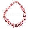 Natural Freshwater Shell Beads Strands X-SHEL-N026-123C-3