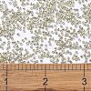 MIYUKI Delica Beads SEED-X0054-DB1831-4