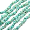 Natural Amazonite Chip Beads Strands X-G-M205-64A-1