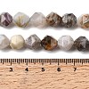 Natural Bamboo Leaf Agate Beads Strands G-Z119-A27-03-6