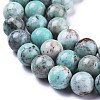 Natural Chrysocolla Beads Strands G-R477-12mm-3