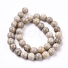 Natural Maifanite/Maifan Stone Beads Strands G-I187-10mm-01-6