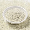 MIYUKI Round Rocailles Beads SEED-JP0010-RR0421-2