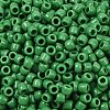 TOHO 6/0 Round Beads X-SEED-TR06-0047D-3