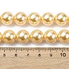 Electroplated Shell Pearl Beads Strands BSHE-G041-12mm-01-4
