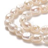 Natural Cultured Freshwater Pearl Beads Strands PEAR-J005-61-2