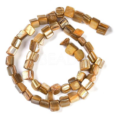 Dyed Natural Freshwater Shell Beads Strands SHEL-P016-01A-1