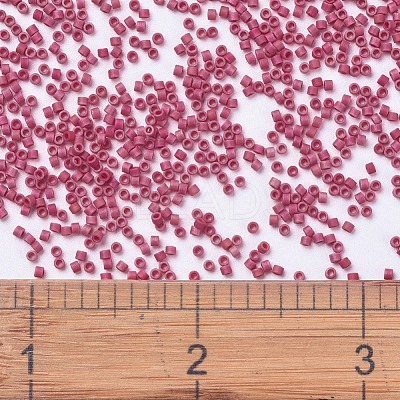 MIYUKI Delica Beads X-SEED-J020-DB0362-1
