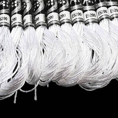 10 Skeins 12-Ply Metallic Polyester Embroidery Floss OCOR-Q057-A19-1