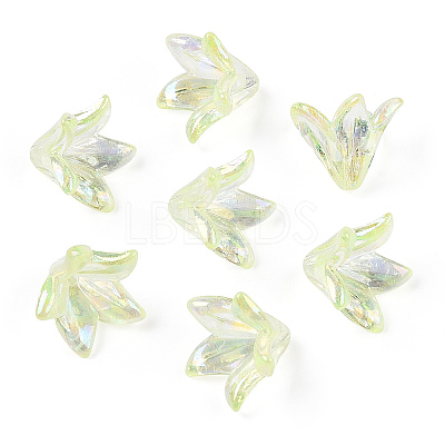 Transparent Acrylic Bead Caps OACR-H016-05C-1